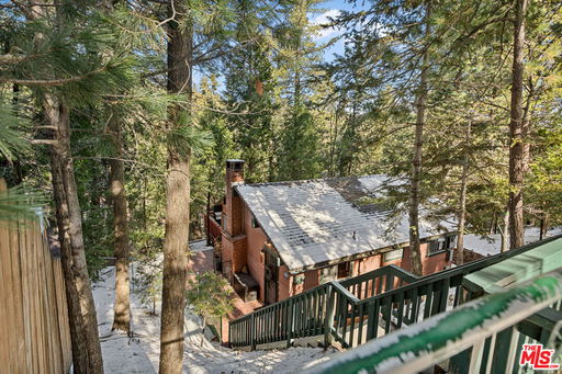 Media Image 2