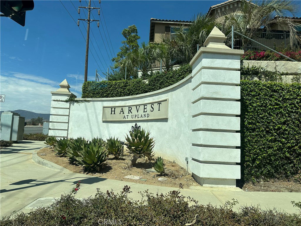 Media Image 1