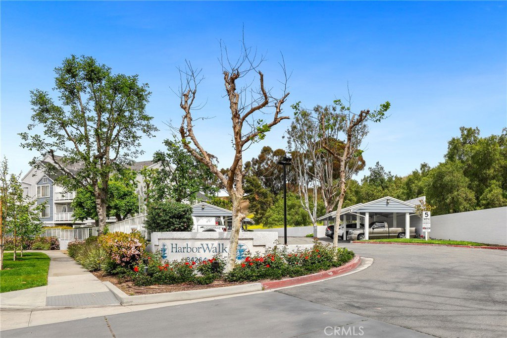 Media Image 1