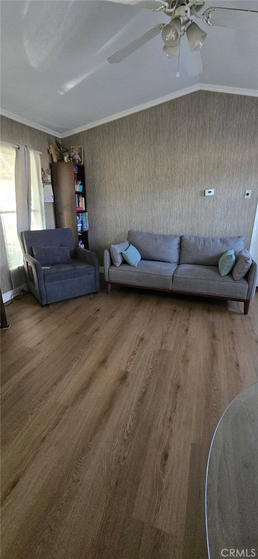 Media Image 3