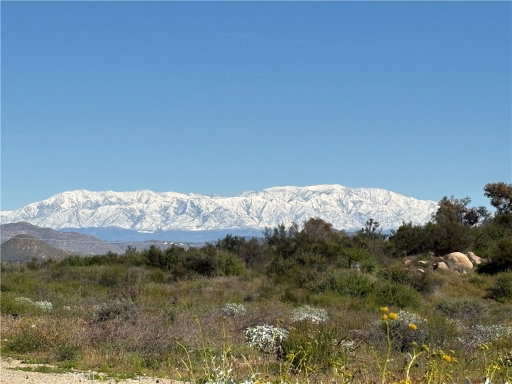 Media Image 2
