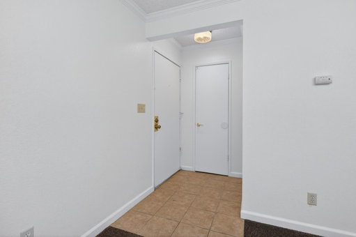 Media Image 3