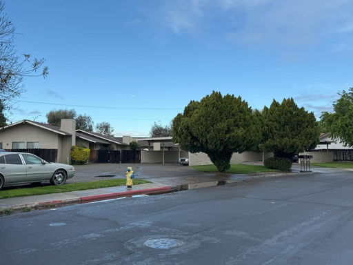 Media Image 3