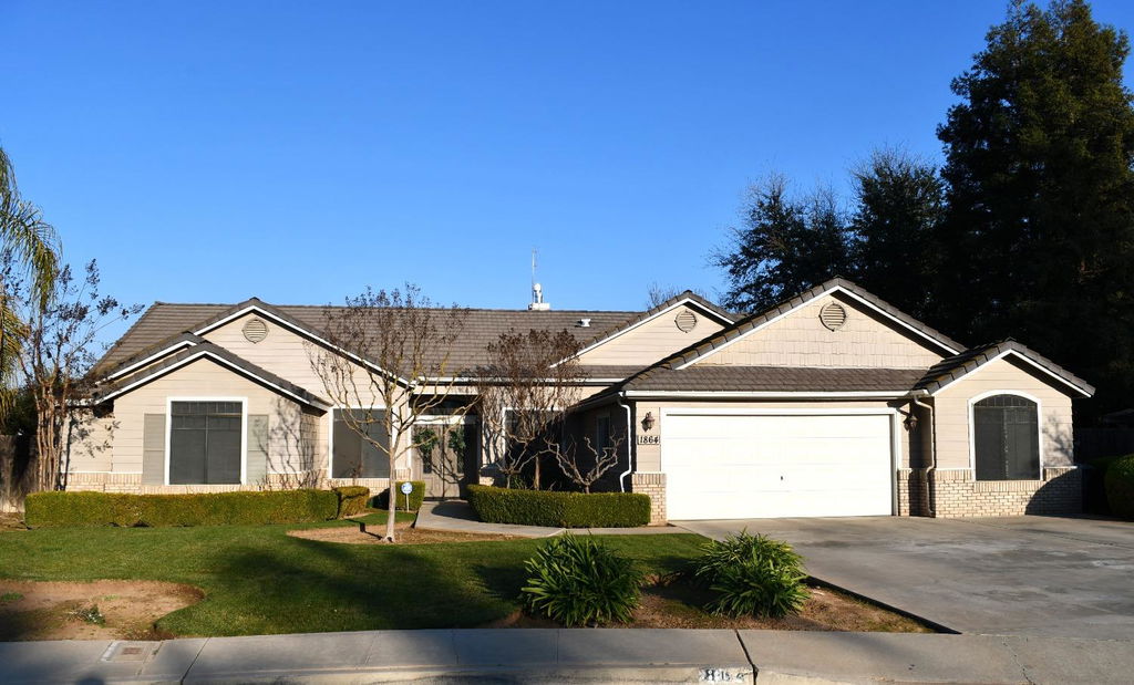 Media Image 1