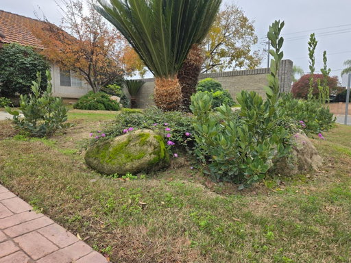 Media Image 2