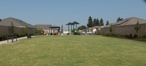 Media Image 2
