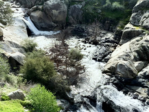 Media Image 3