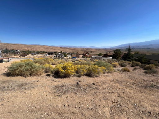 Media Image 3