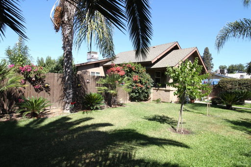 Media Image 3