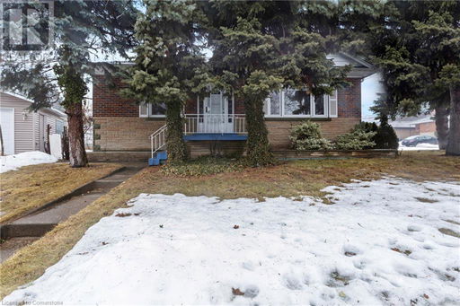 Media Image 2