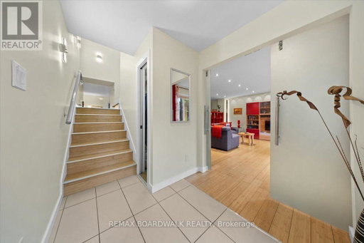 Media Image 3