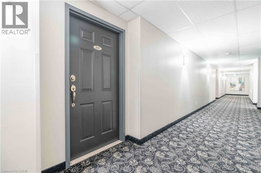 Media Image 3