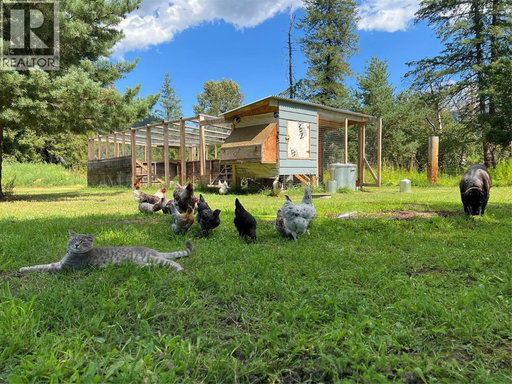 Media Image 3