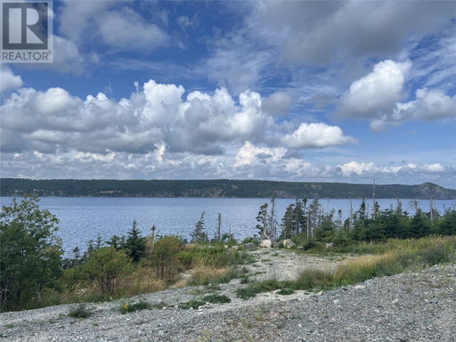 Media Image 3