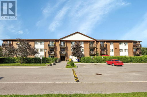 Media Image 3