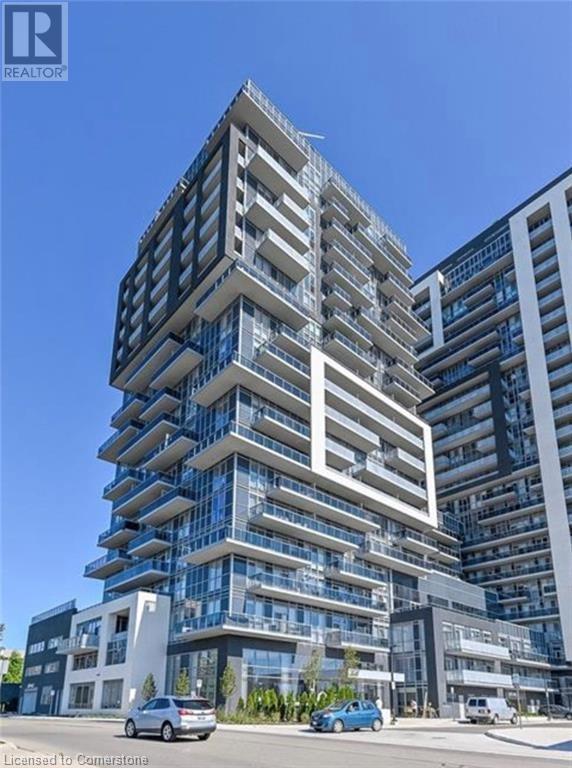Media Image 1