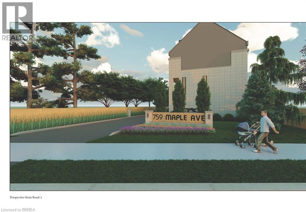 Media Image 1