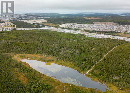 Media Image 3