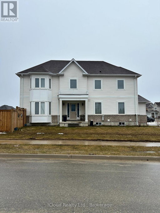 Media Image 3