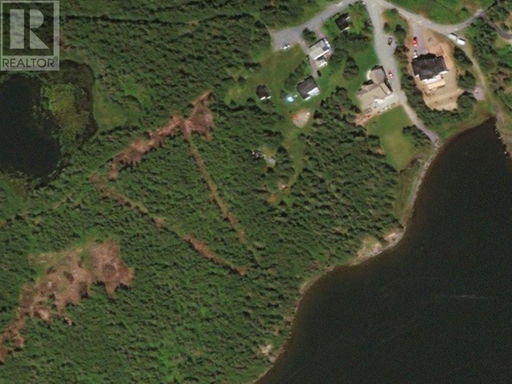 Media Image 2