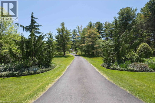 Media Image 2