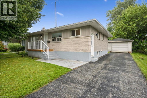 Media Image 3