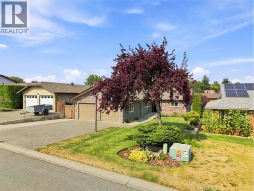 Media Image 2