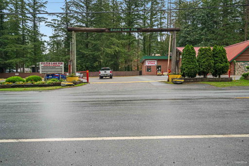 Media Image 2