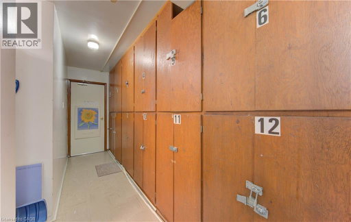 Media Image 3