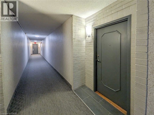 Media Image 3