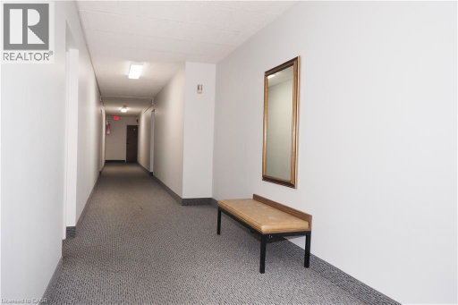 Media Image 3