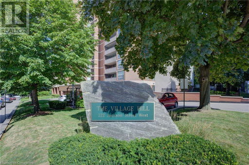 Media Image 3