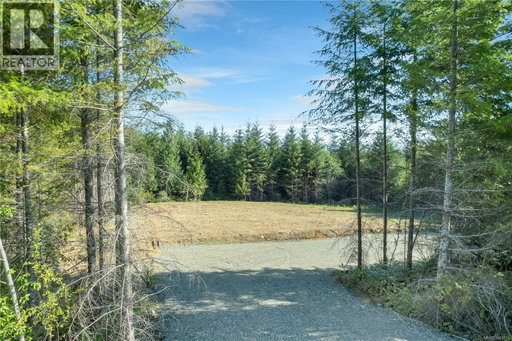 Media Image 2