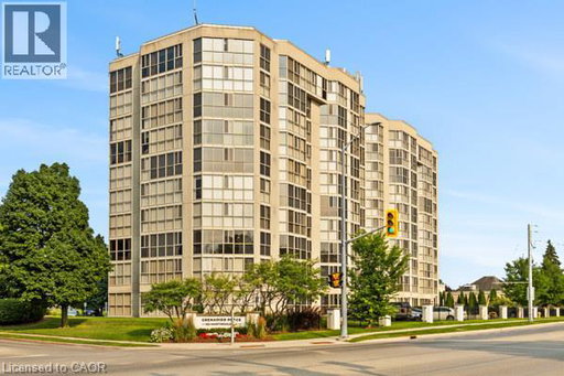 Media Image 3