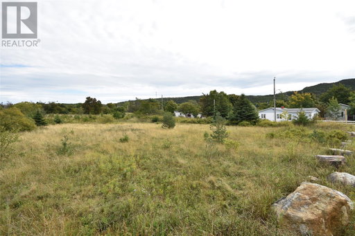 Media Image 3