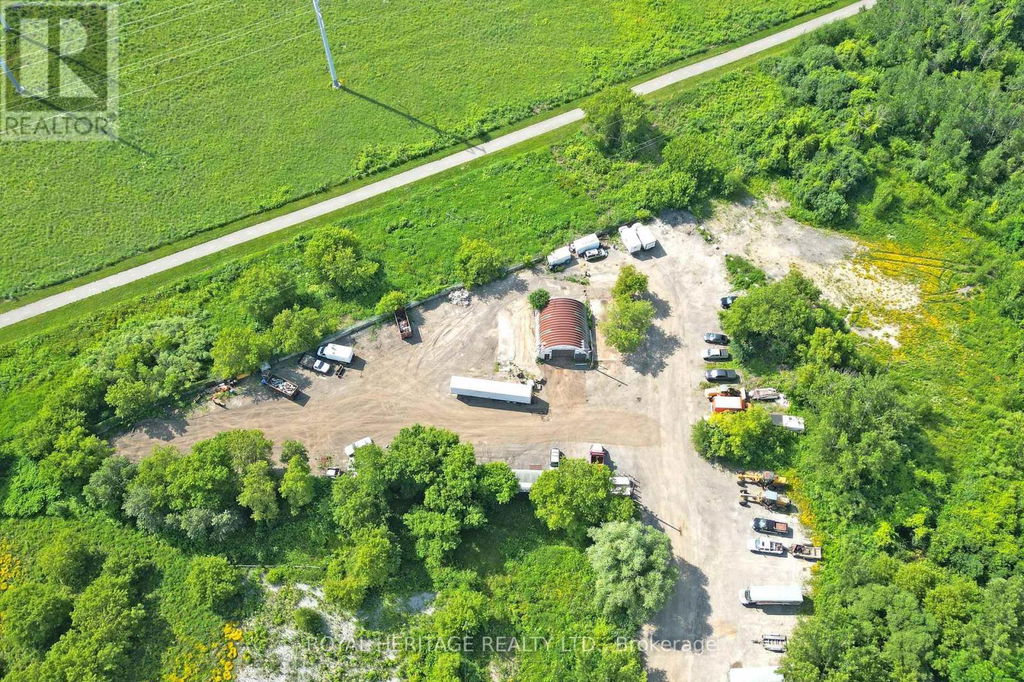 Media Image 1