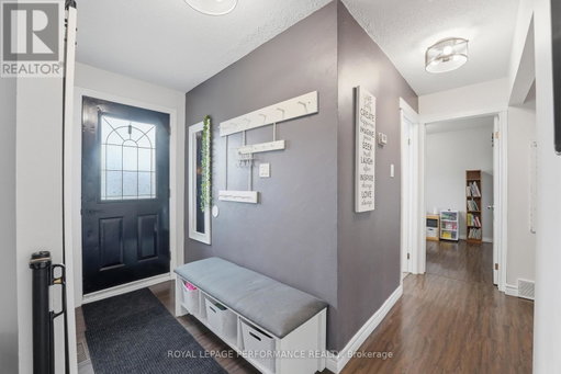Media Image 2
