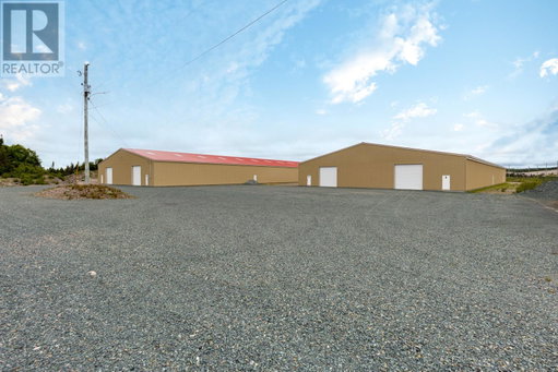 Media Image 2
