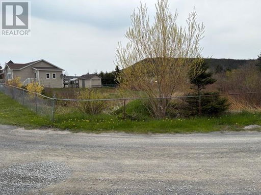 Media Image 2