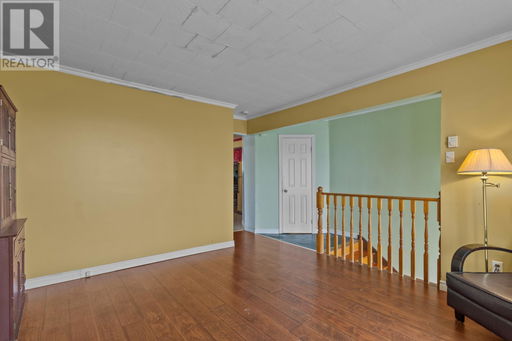 Media Image 3