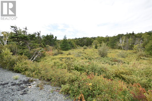 Media Image 2