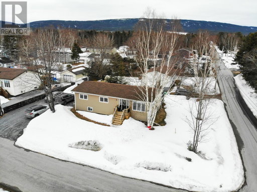Media Image 3