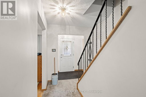 Media Image 3