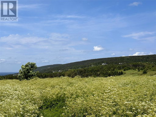 Media Image 3