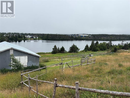 Media Image 2