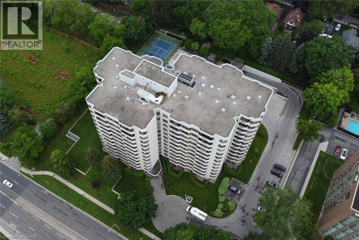 Media Image 3