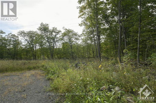 Media Image 3