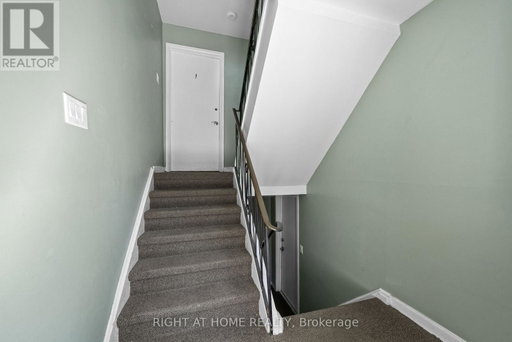 Media Image 3