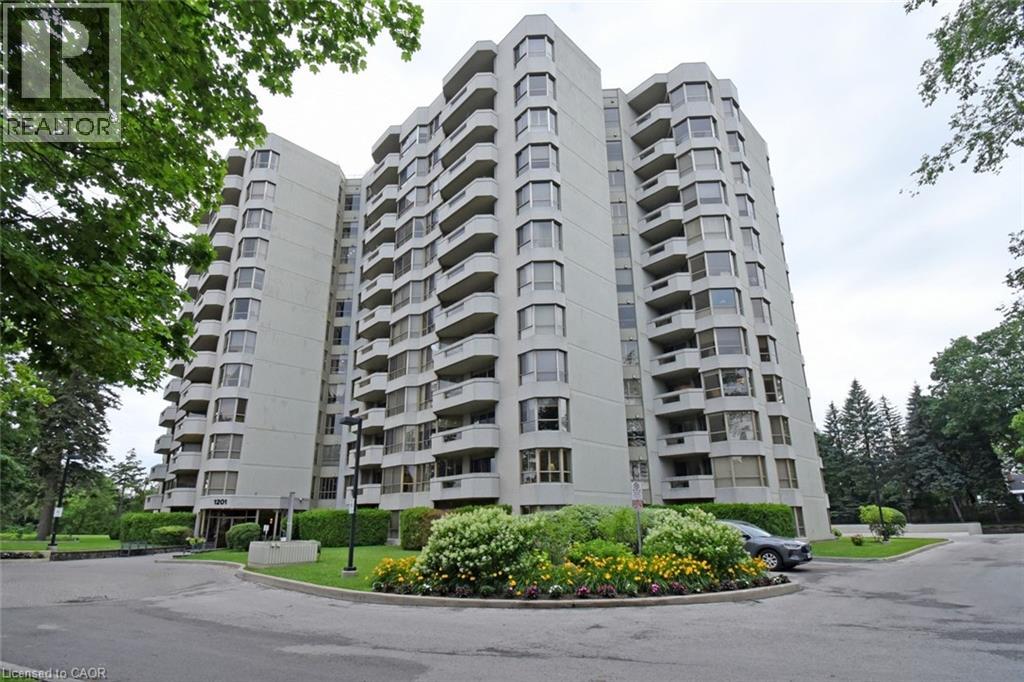 Media Image 1