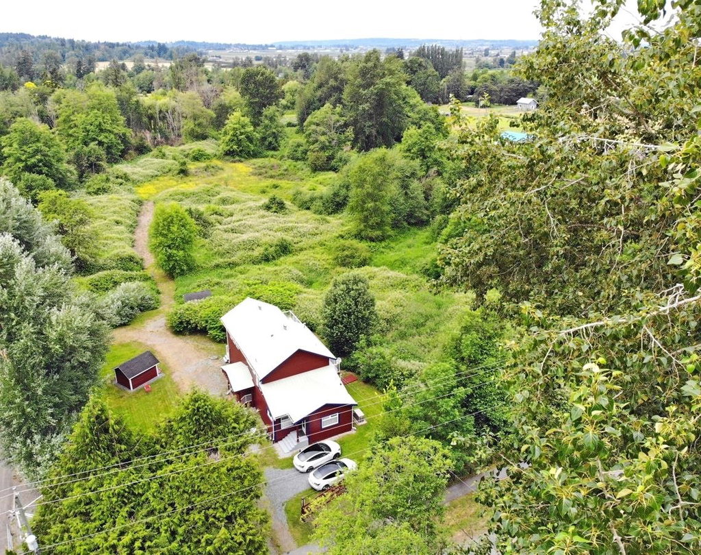Media Image 1